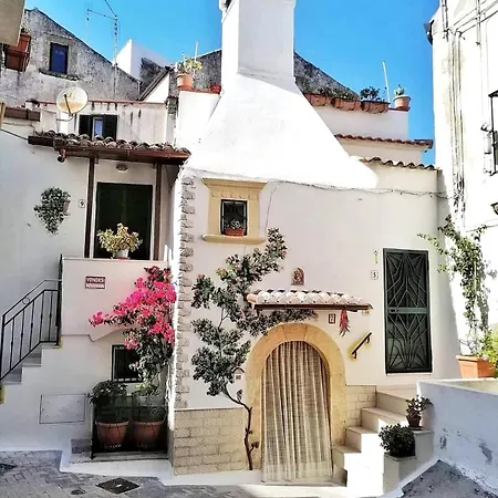 Casa Habibi