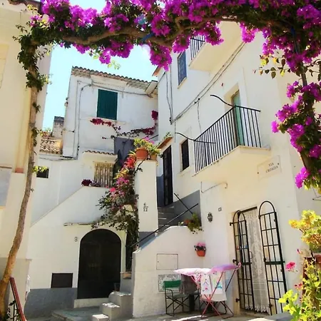 Casa Habibi *